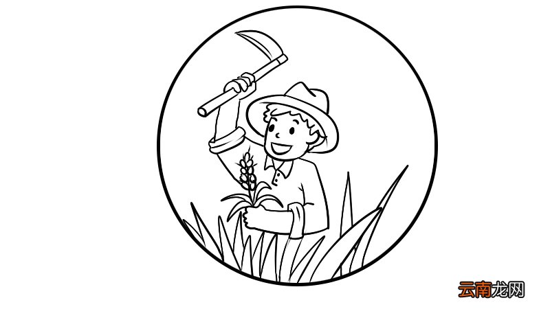 芒种简笔画怎么画好看芒种简笔画画法