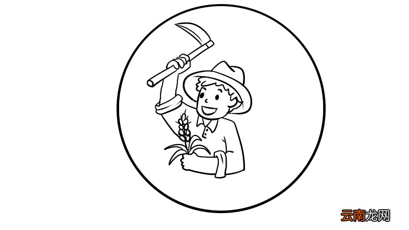 芒种简笔画怎么画好看芒种简笔画画法