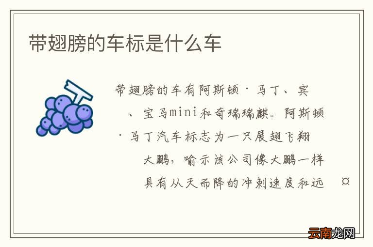 带翅膀的车标是什么车