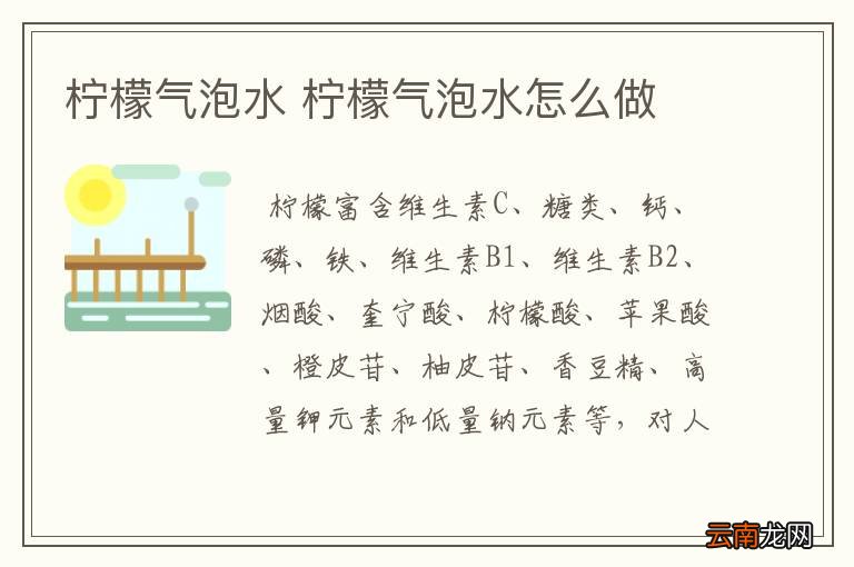 柠檬气泡水 柠檬气泡水怎么做