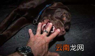 打狂犬疫苗不能吃什么 你知道吗