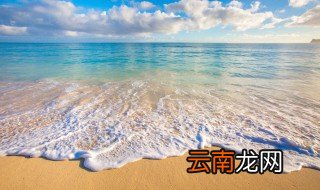 海星在沙滩上一般藏在哪里 海星在沙滩上一般藏哪里呢