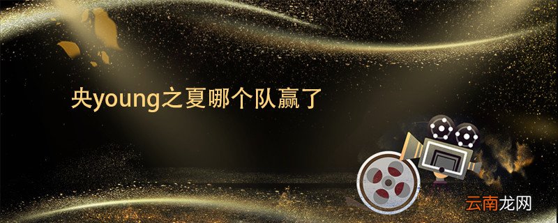 央young之夏哪个队赢了 央young之夏介绍