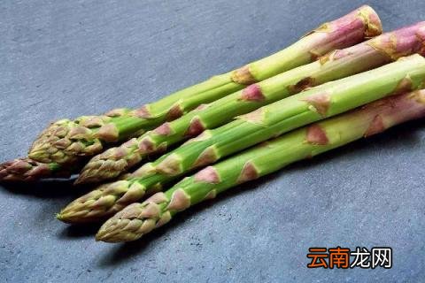 芦笋苗用不用剪稍