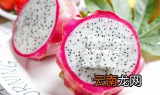 梦见火龙果什么预兆 当中意思你知道吗