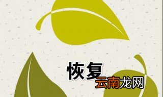 电脑如何找回删除的照片 操作步骤