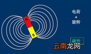 磁共振成像原理 磁共振成像的原理是什么