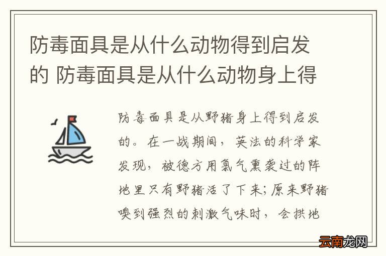 防毒面具是从什么动物得到启发的 防毒面具是从什么动物身上得到的启发
