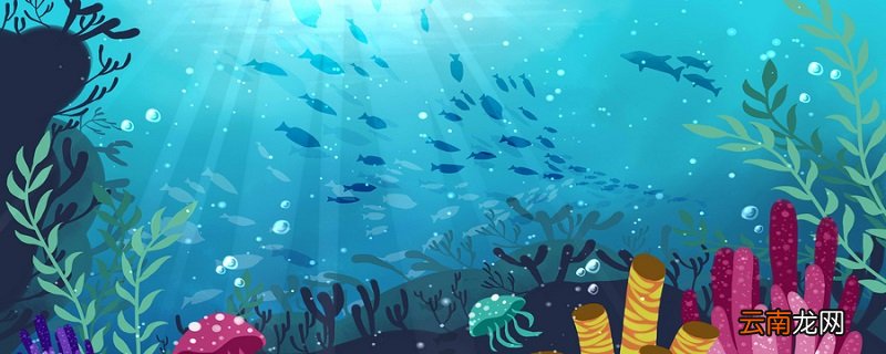 海底两万里主要内容50海底两万里概括简短