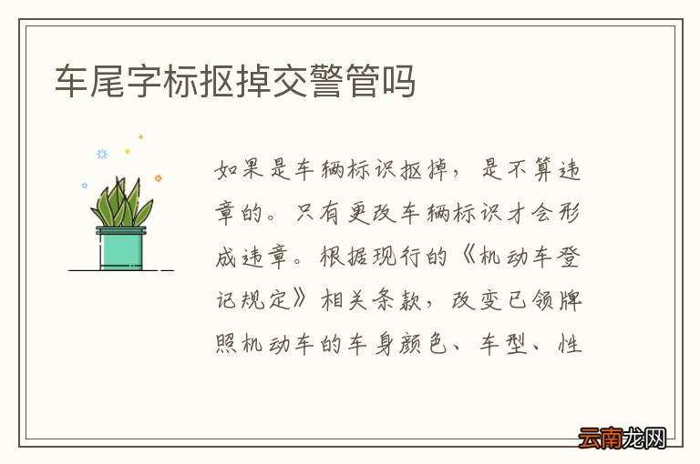 车尾字标抠掉交警管吗