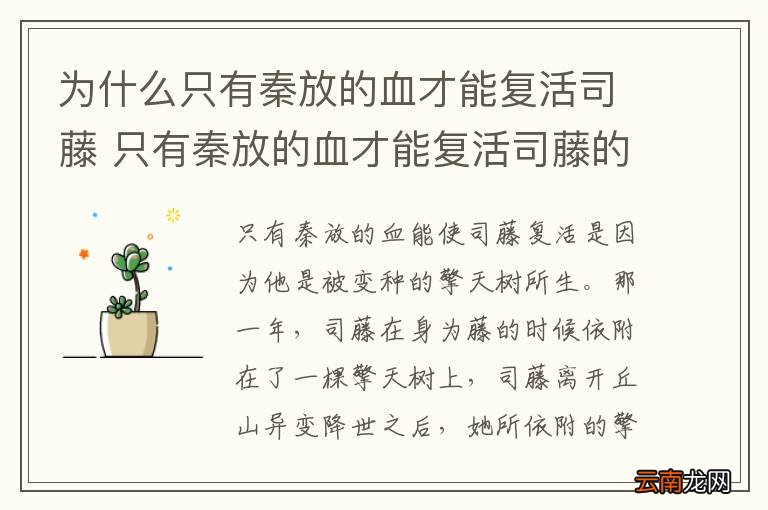 为什么只有秦放的血才能复活司藤 只有秦放的血才能复活司藤的原因是什么