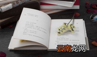 有时候的拼音 一起看看吧