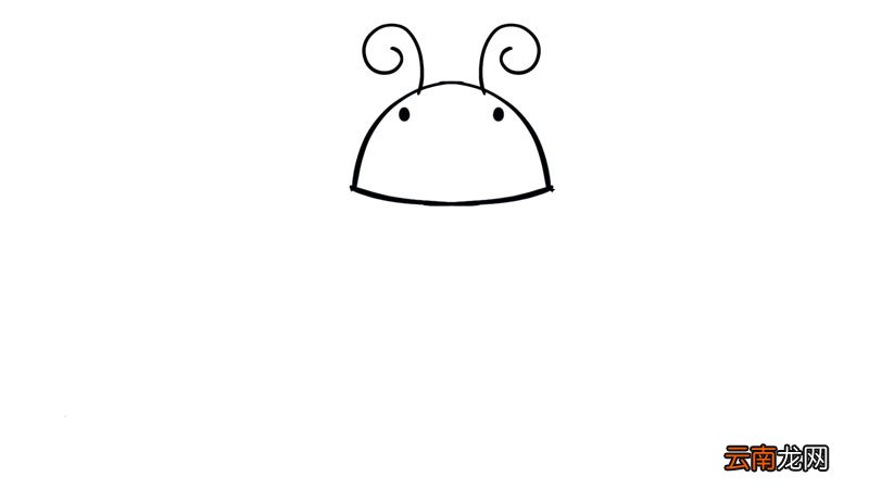 七星瓢虫简笔画 七星瓢虫简笔画怎么画