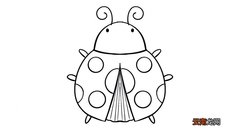 七星瓢虫简笔画 七星瓢虫简笔画怎么画