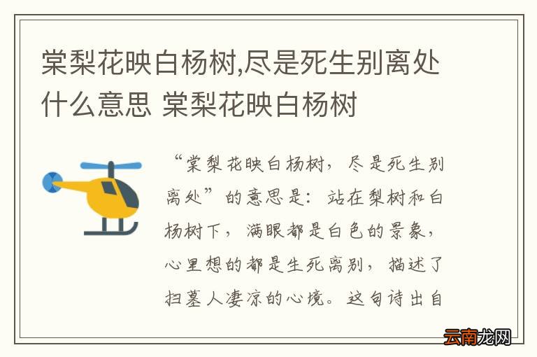 棠梨花映白杨树,尽是死生别离处什么意思 棠梨花映白杨树