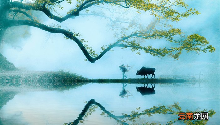 棠梨花映白杨树,尽是死生别离处什么意思 棠梨花映白杨树
