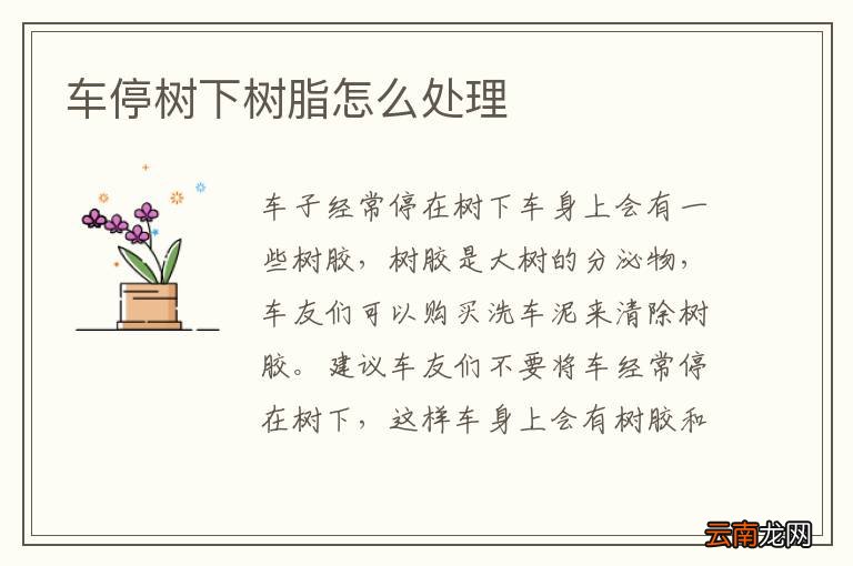 车停树下树脂怎么处理
