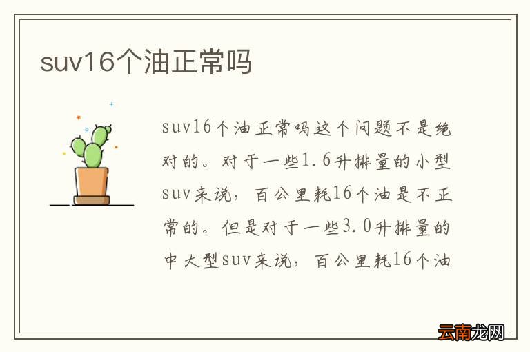 suv16个油正常吗