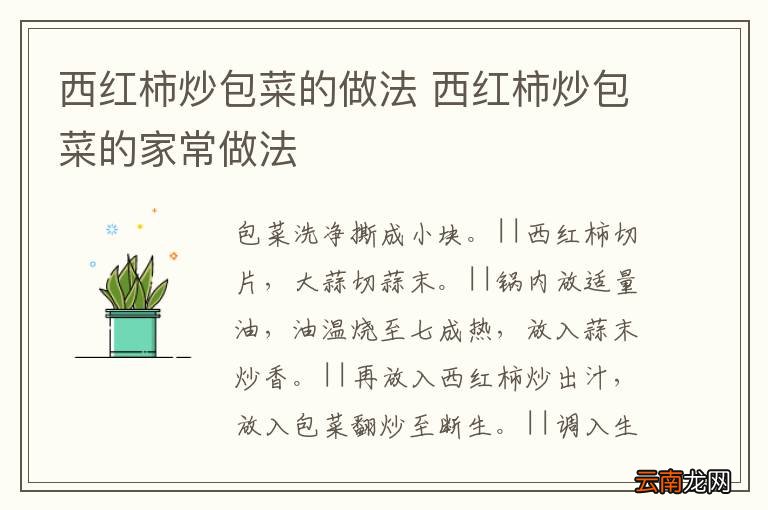 西红柿炒包菜的做法 西红柿炒包菜的家常做法