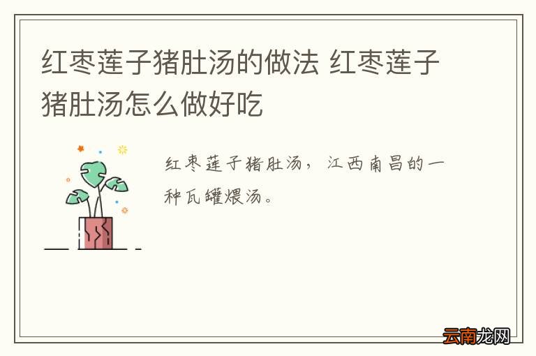 红枣莲子猪肚汤的做法 红枣莲子猪肚汤怎么做好吃