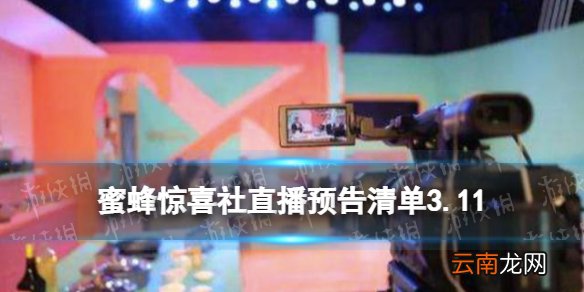 蜜蜂惊喜社直播预告3.11 蜜蜂惊喜社直播预告清单3.11