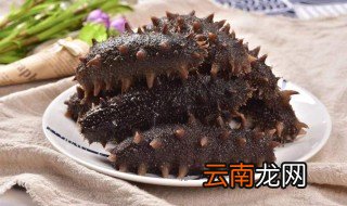 哪些人适合吃海参 海参的适宜人群