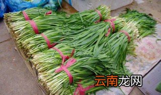 韭菜十大养生功效 养生功效详解