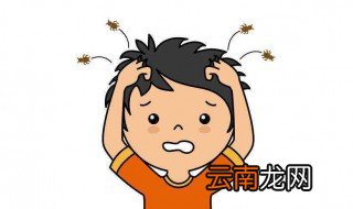 头上长虱子怎么办怎样简便消除 头上长虱子简便消除的方法