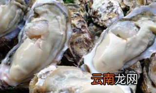 生牡蛎的功效与作用 生牡蛎的功效与作用有哪些