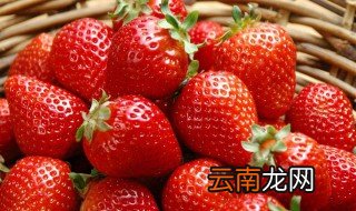 吃什么补铁效果最好 贫血的注意了