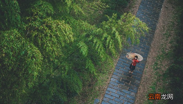 竹里馆的体裁是什么 竹里馆的体裁
