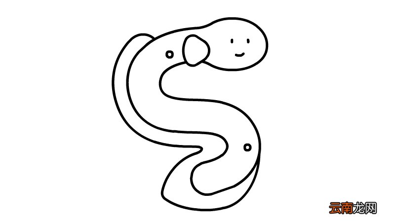 电鳗简笔画步骤电鳗简笔画画法