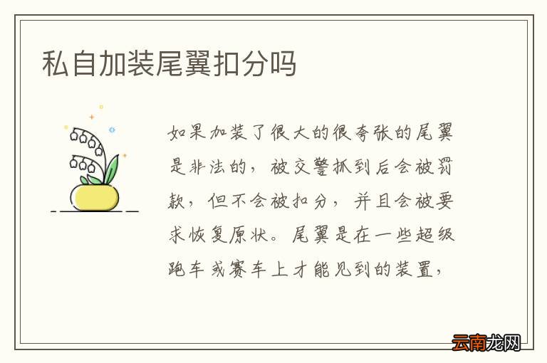 私自加装尾翼扣分吗