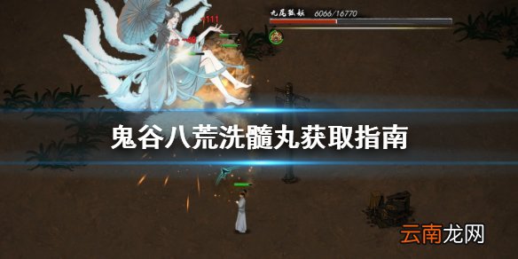 鬼谷八荒洗髓丸去哪找 鬼谷八荒洗髓丸获取指南
