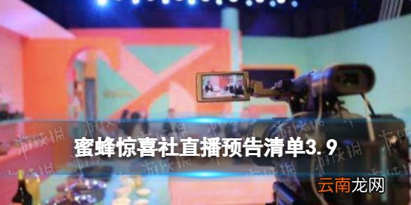 蜜蜂惊喜社直播预告3.9 蜜蜂惊喜社直播预告清单3.9