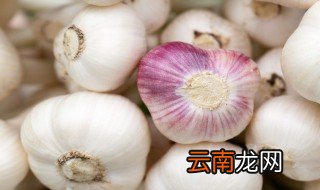 吃生大蒜的好处和坏处 吃生大蒜的好处和坏处是什么