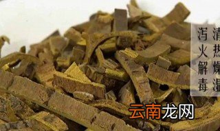 黄柏的功效与作用及食用方法 一起来了解下吧