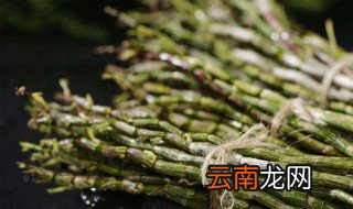 石斛的功效和作用 石斛的功效和作用介绍