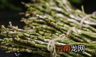 请问石斛有什么功效 石斛功效与作用