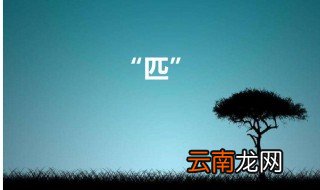 匹拼音怎么写 还有它的基本释义是什么