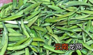 雀舌茶是什么茶 绿茶的稀有品种