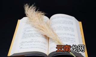 轴怎么读 详细释义有哪些