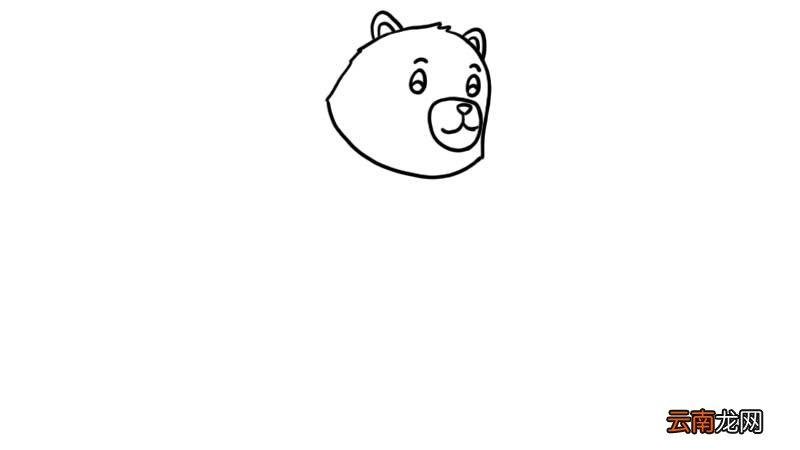 熊简笔画 熊怎么画