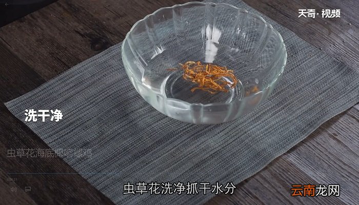 虫草花海底椰响螺鸡怎么做 虫草花海底椰响螺鸡的做法