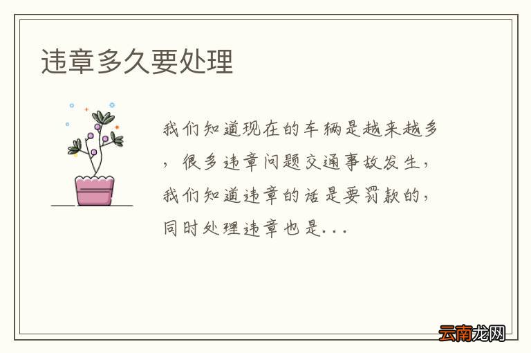 违章多久要处理