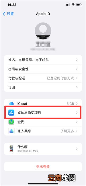 iPhoneapp支付明细在哪里查询