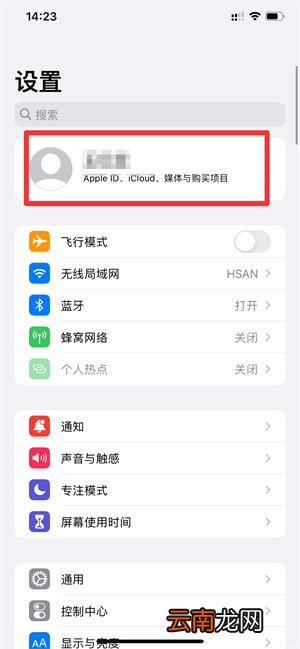 iPhoneapp支付明细在哪里查询