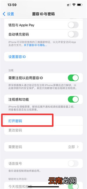iPhone手机锁屏密码