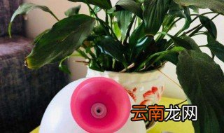 每天用蒸汽蒸脸好不好 可以补水
