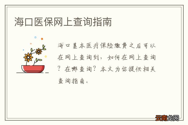 海口医保网上查询指南